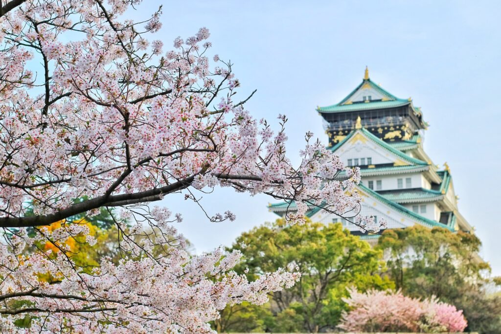 Japonia. Zaplanuj podróż do kraju kwitnącej wiśni