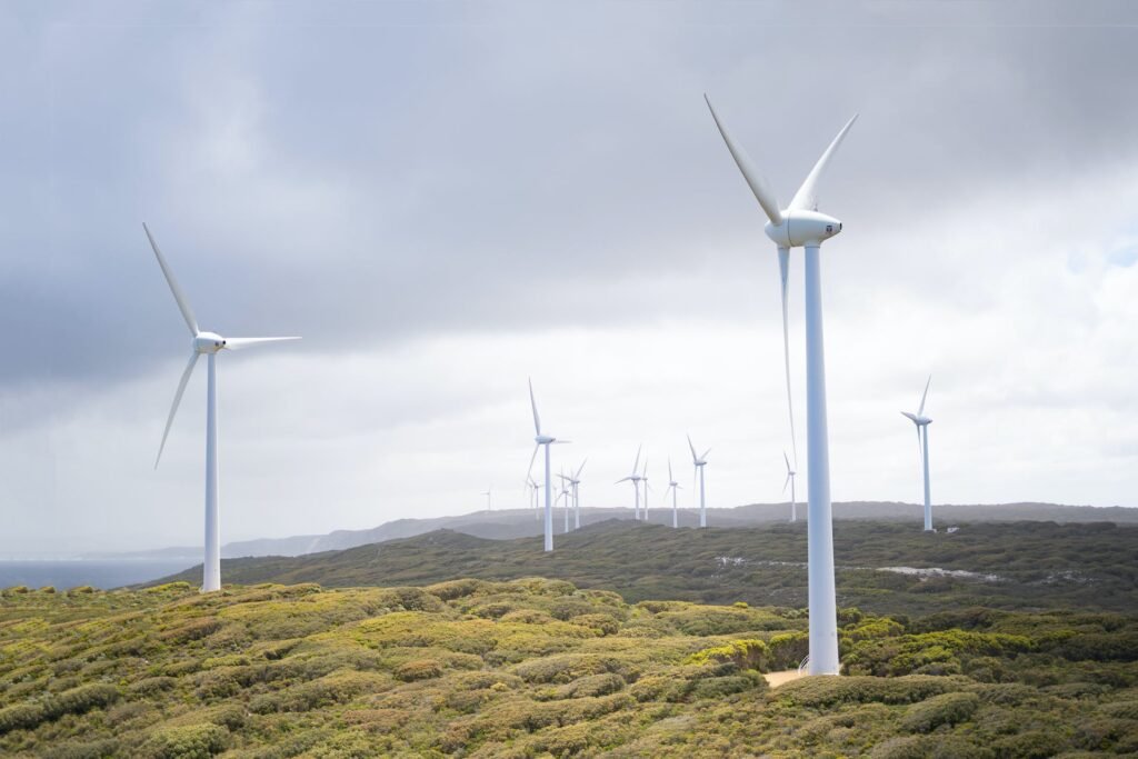 Google podpisuje największą umowę na dostawę energii z holenderskimi projektami wiatrowymi