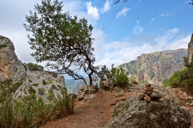 Serra de Tramuntana